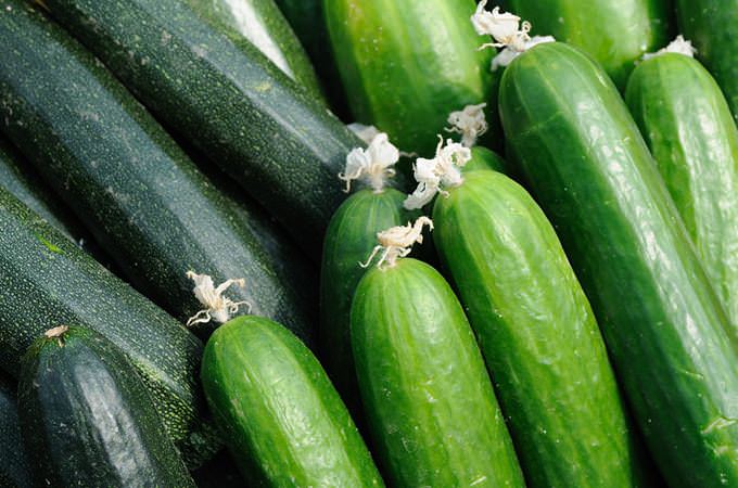 Cucumber and Zucchini
