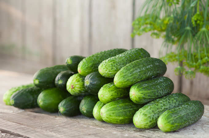 Cucumber_mini