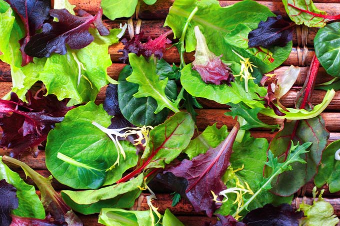 bigstock-Organic-Spring-Mix-Lettuce-4153901