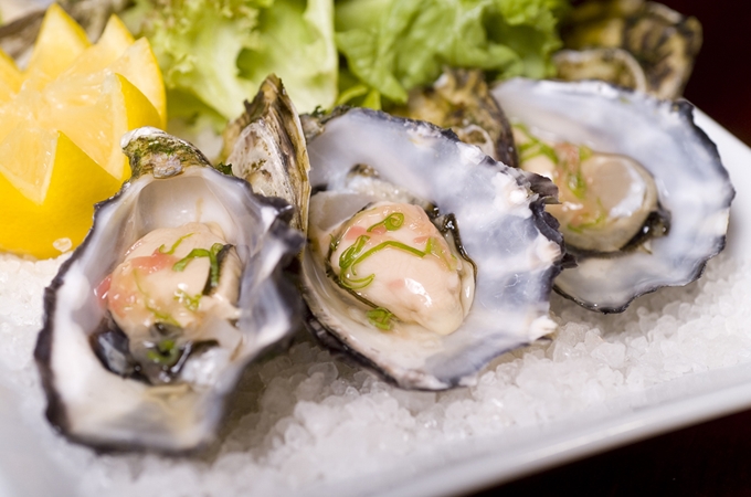 Oysters