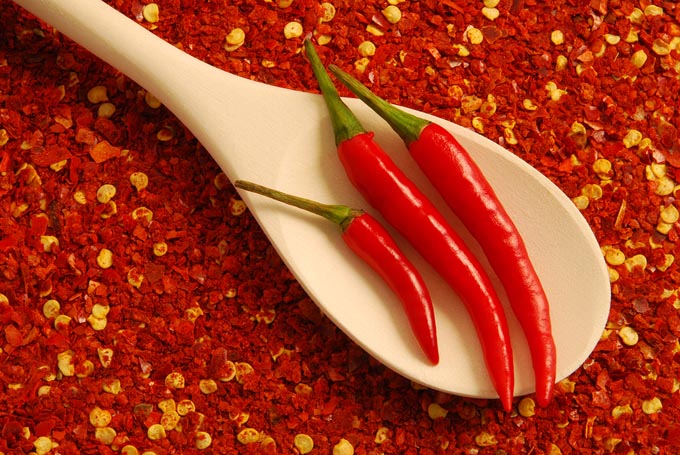 bigstock-Chili-peppers-14339327_mini