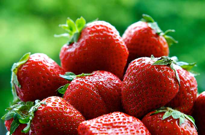 bigstock-Fresh-strawberries-on-summer-w-48293483