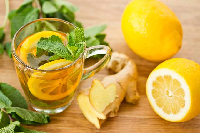 bigstock-Ginger-Tea-43433971