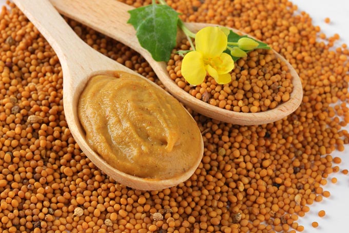 bigstock-Mustard-seeds-with-mustard-flo-48443117_mini