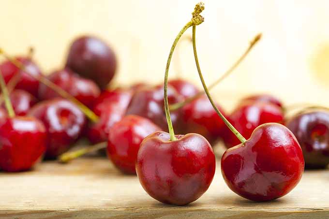 bigstock-fresh-red-cherries-on-a-wooden-45802765