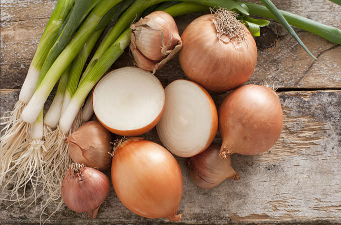 bigstock-Assorted-Farm-Fresh-Onions-On--61456619(1)