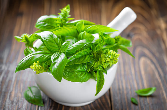 bigstock-Basil-78933689