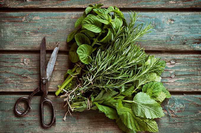 bigstock-Fresh-Herbs-85285349